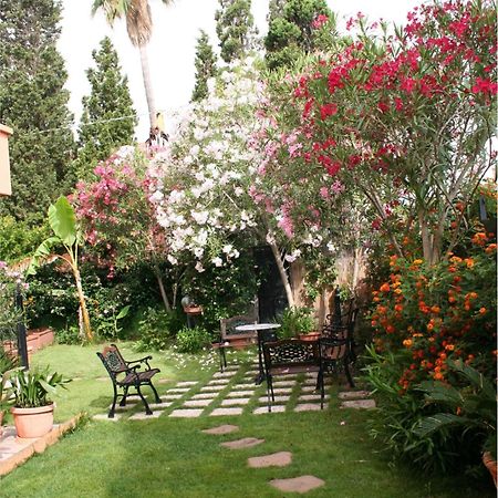 Casa Vacanza Appartamenti Al Mare كابوتيرا المظهر الخارجي الصورة