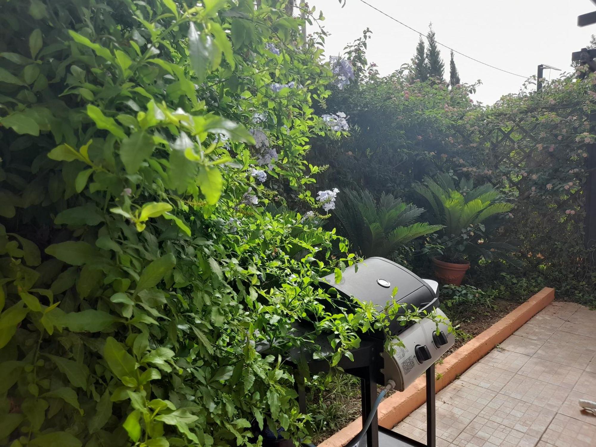 Casa Vacanza Appartamenti Al Mare كابوتيرا المظهر الخارجي الصورة